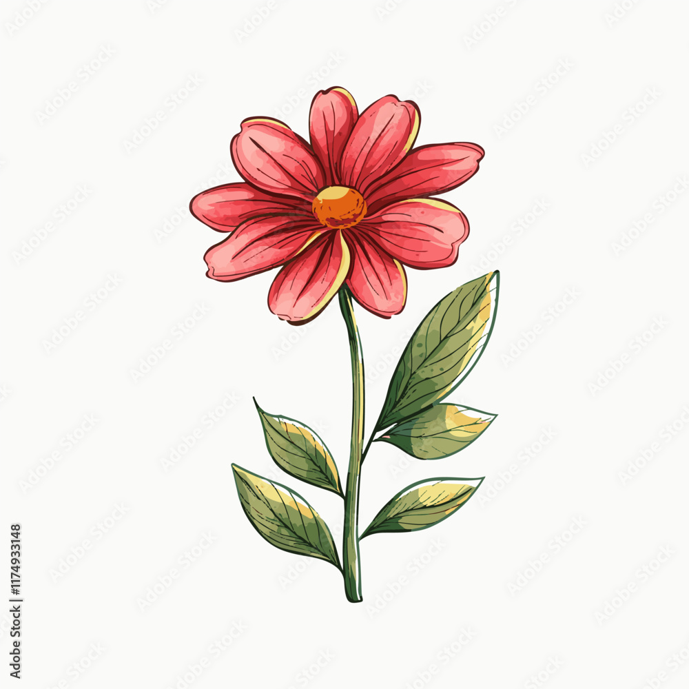 Vector illustration red flower, chamomile for a children's book, postcard