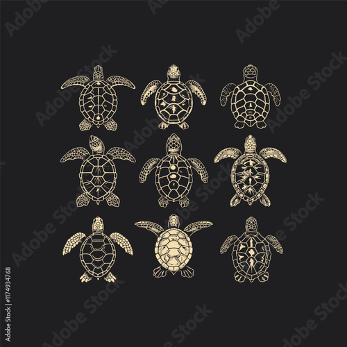 Set of turtle engraving design vector template