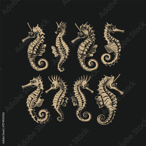 Set of seahorse engraving design vector template photo