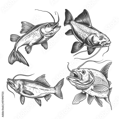 Set of catfish engraving design vector template