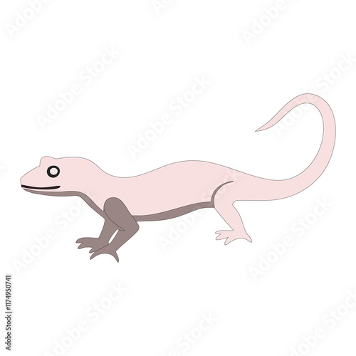 lizard picture 