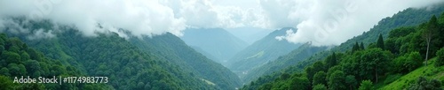 Clouds conceal lush greenery on mountain slopes, forest canopy, misty mountains, hazy weather