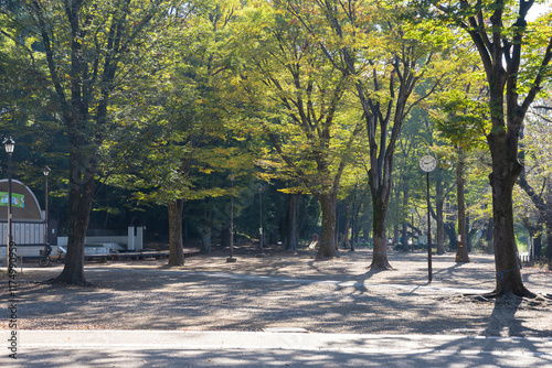 井の頭恩賜公園 photo