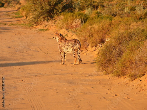 Game Reserve Travels 1 