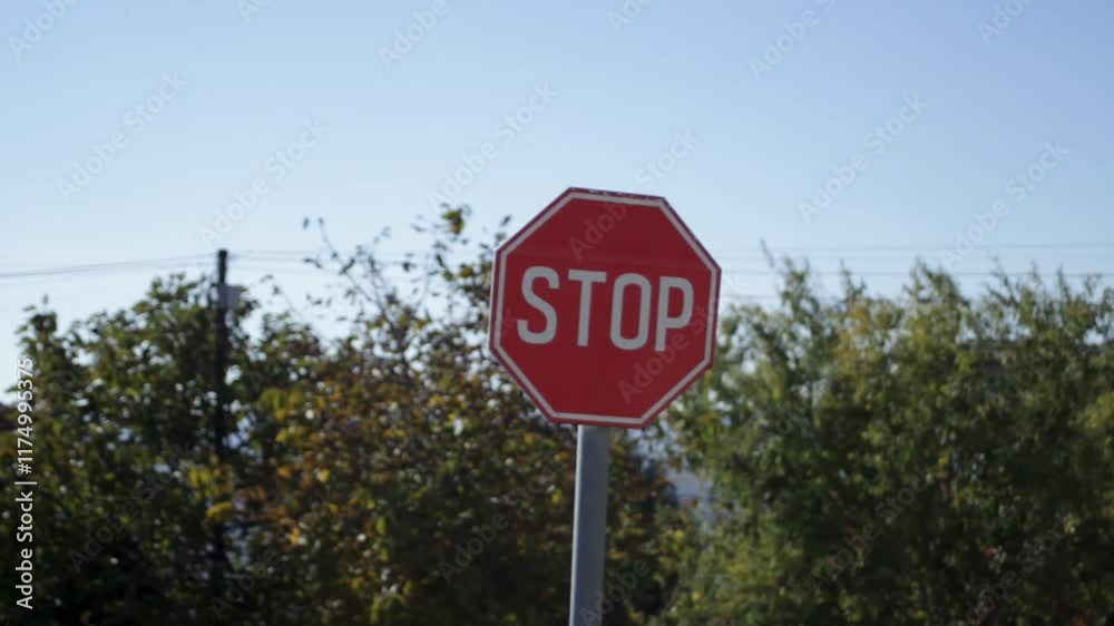 Road sign STOP. A close-up of the Stop sign against the background of foliage