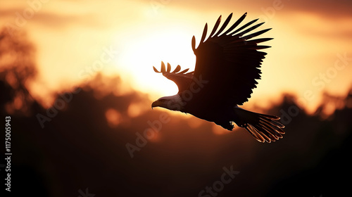 eagle silhouette, fliying bird silhouette photo