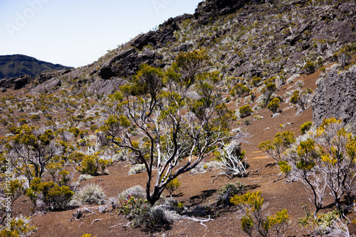 Volcanic Terrain Reunion Island