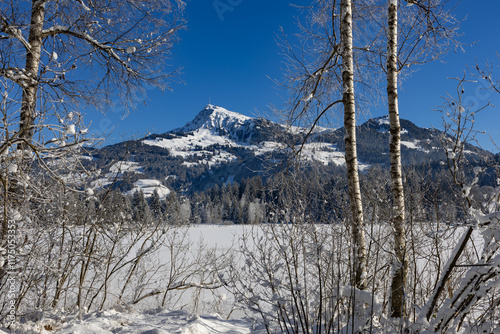 Winter in Tirol