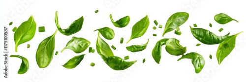 Fresh Basil Leaves Floating - Green basil leaves, herbs, culinary, healthy, cooking.