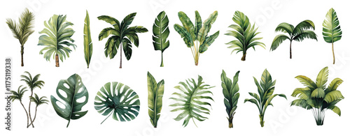 Watercolor set tropical leaves and palm trees - botanical illustration for nature and decor