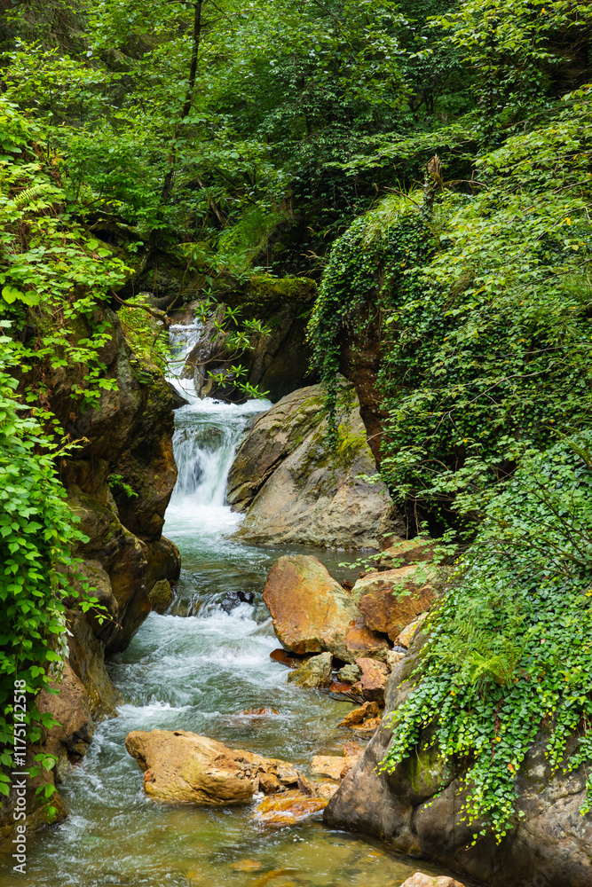 A stream in the lush forest with little waterfalls A stream in the lush forest with little waterfalls