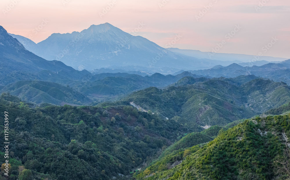Fototapeta premium Beautiful natural landscape of the forest mountains in the summer time. Rainforest ecosystem, forested mountain.