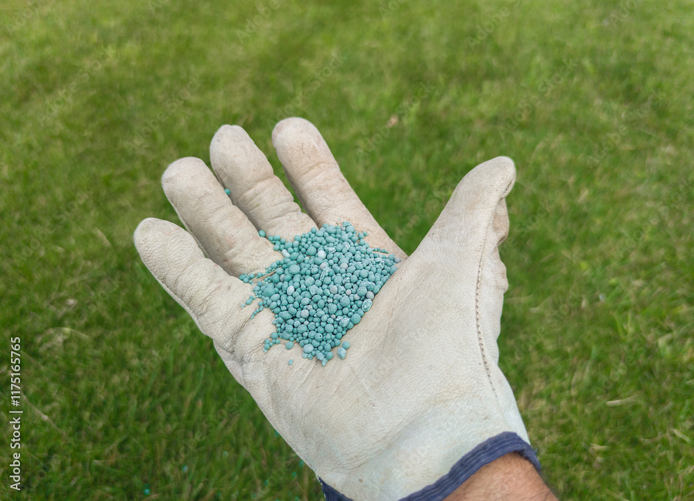 Grass fertilization with granulated phosphor
