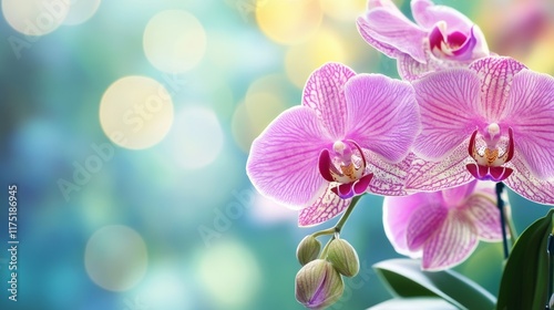 flower with a blurred background