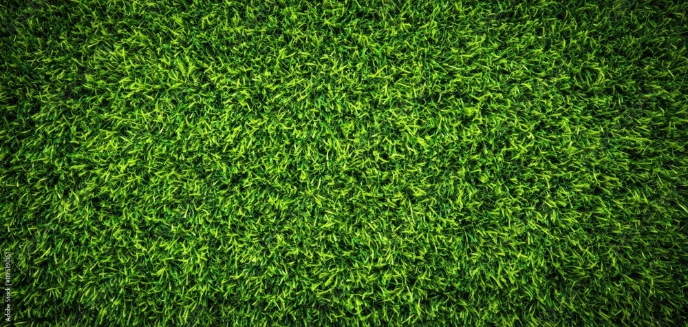 Fototapeta premium Lush green grass covering the ground creates a vibrant and refreshing natural landscape for outdoor activities.