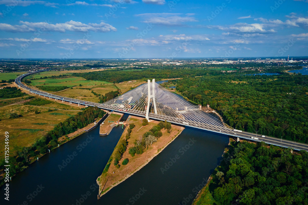 Cable stayed bridge over river surrounded by lush green forest. Redzinski bridge over Odra river with cars driving on highway in Wroclaw, Poland