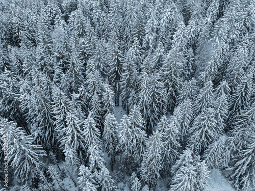 aerial photography of a sno...