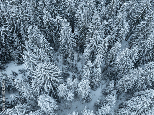 aerial photography of a sno...