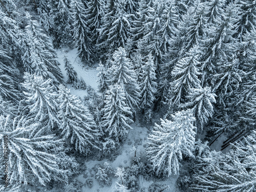 aerial photography of a sno...