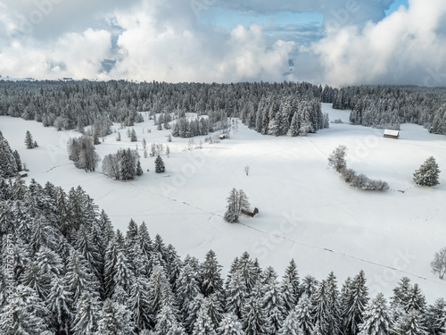 aerial photography of a snowy landscape with spruce and fir forest in alpine landscape of Vorarlberg next to Sulzberg, Austria photo