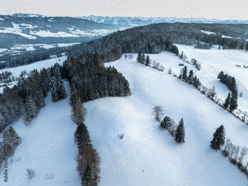 aerial photography of a snowy landscape with spruce and fir forest in alpine landscape of Vorarlberg next to Sulzberg, Austria photo