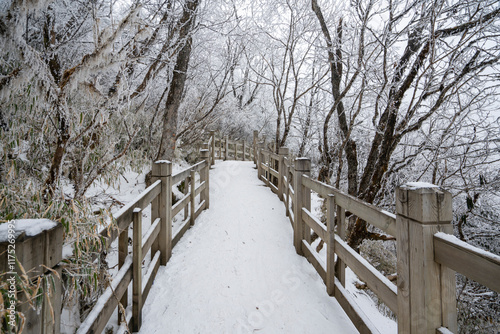 The snowy boardwalk in the forest park during winter