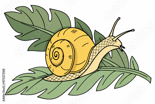 snail on a branch