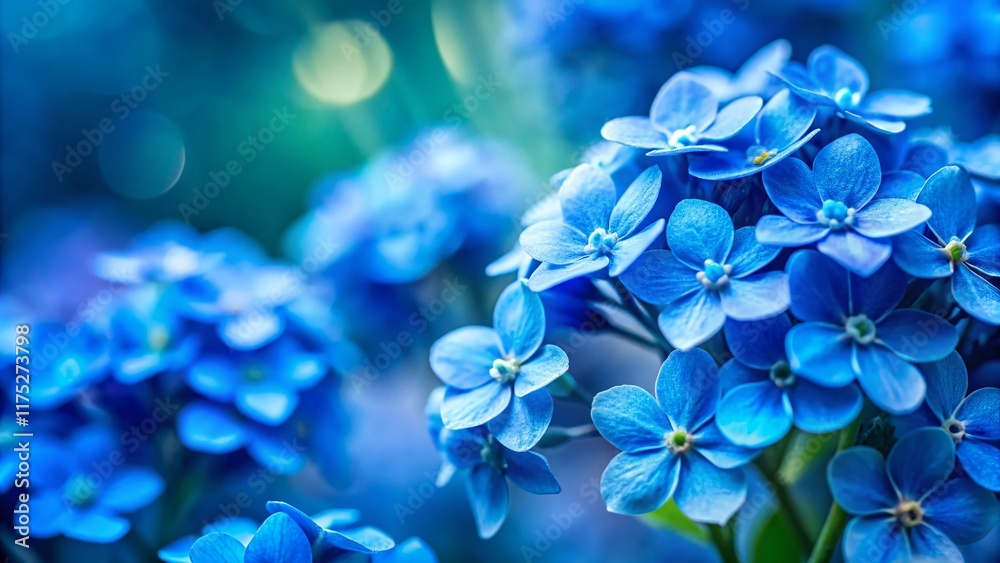 Stunning Blue Flower Close-up Bokeh Background for Wedding Invitations & Wallpapers Stunning Blue Flower Close-up Bokeh Background for Wedding Invitations & Wallpapers
