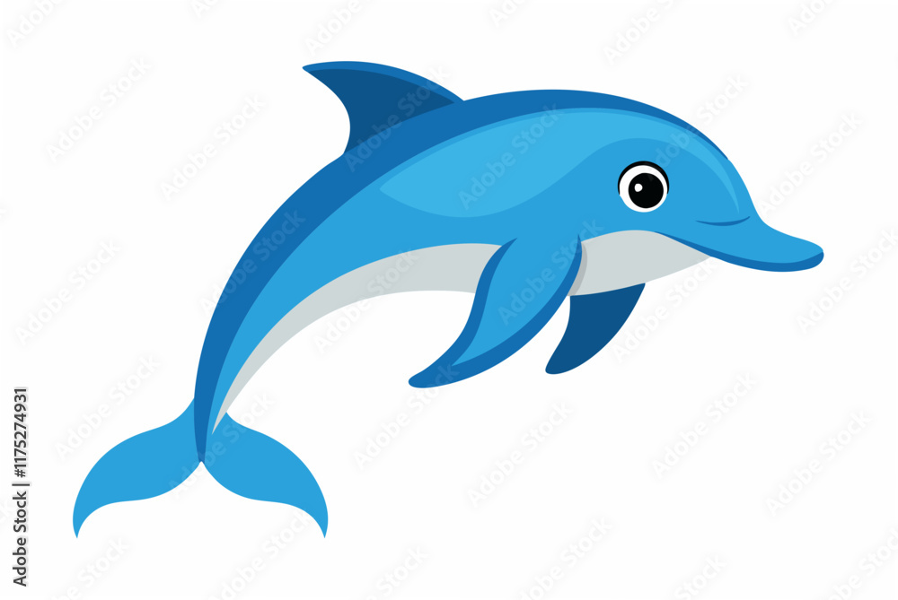 dolphin isolated on white background