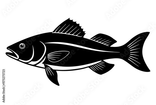 fish on a white background