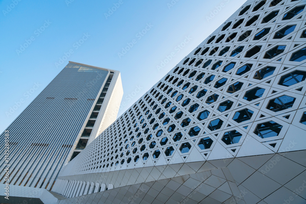 Close up of the Geometric Structure of Modern Architecture in Sports Centers