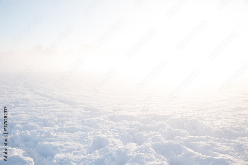 snow-covered field with fog and low visibility snow-covered field with fog and low visibility