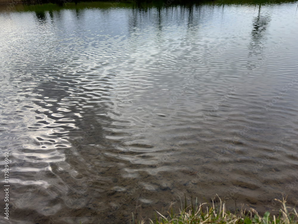 Fototapeta premium water reflections