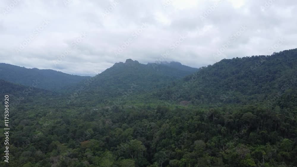Aerial view of mountains in Kalimantan covered in clouds or fog Aerial view of mountains in Kalimantan covered in clouds or fog