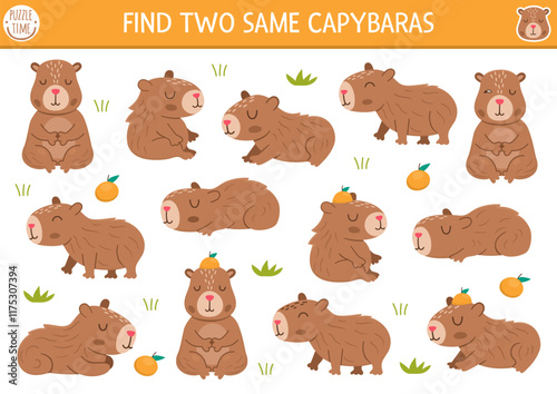 Find two same capybaras. Capibara matching activity for children. Educational quiz worksheet for kids for attention skills. Simple printable game with cute brown animals