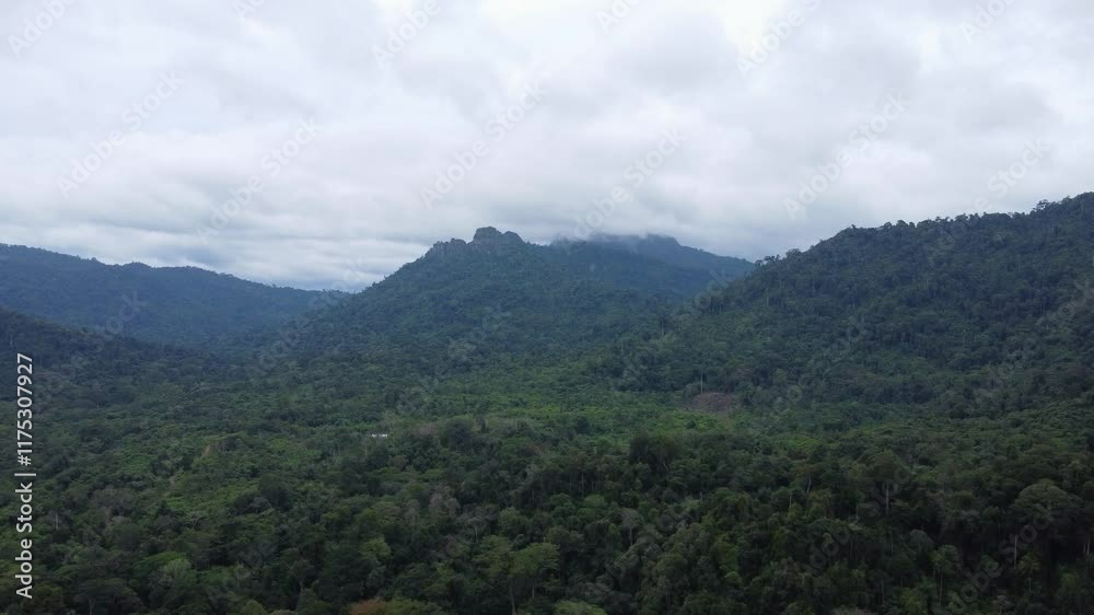 Aerial view of mountains in Kalimantan covered in clouds or fog Aerial view of mountains in Kalimantan covered in clouds or fog