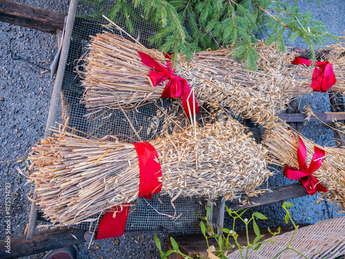 Photography Dried wheat bundles with red ribbon laying on the small carriage