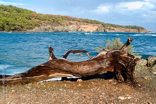 Fototapeta Naklejka Na Ścianę i Meble -  mediterranean sea shore in turkey