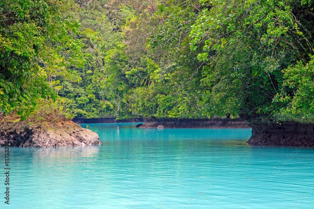 Tropical lagoon with turquoise water and lush rainforest in the background Tropical lagoon with turquoise water and lush rainforest in the background