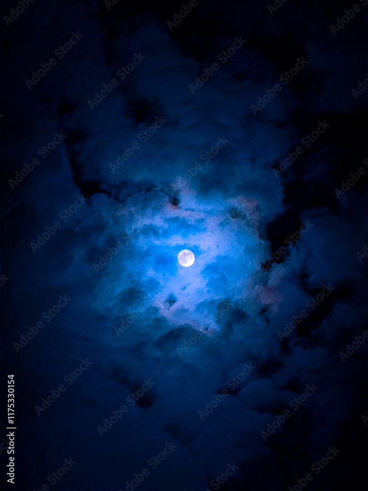 Fototapeta premium 음산한 보름달 풍경 사진