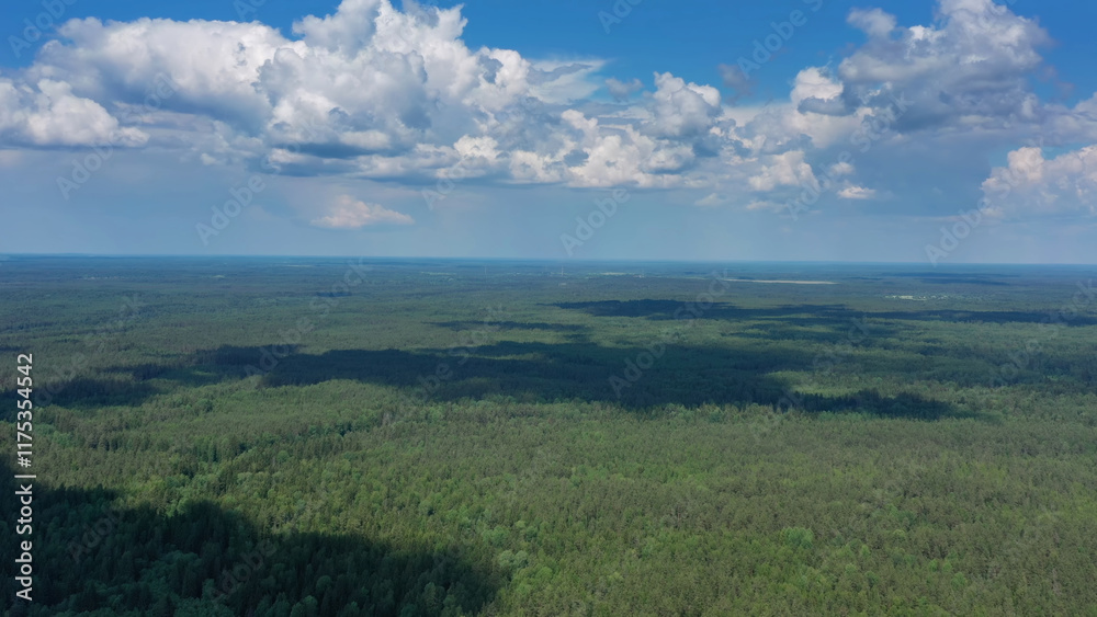 Fototapeta premium Aerial view of summer forest
