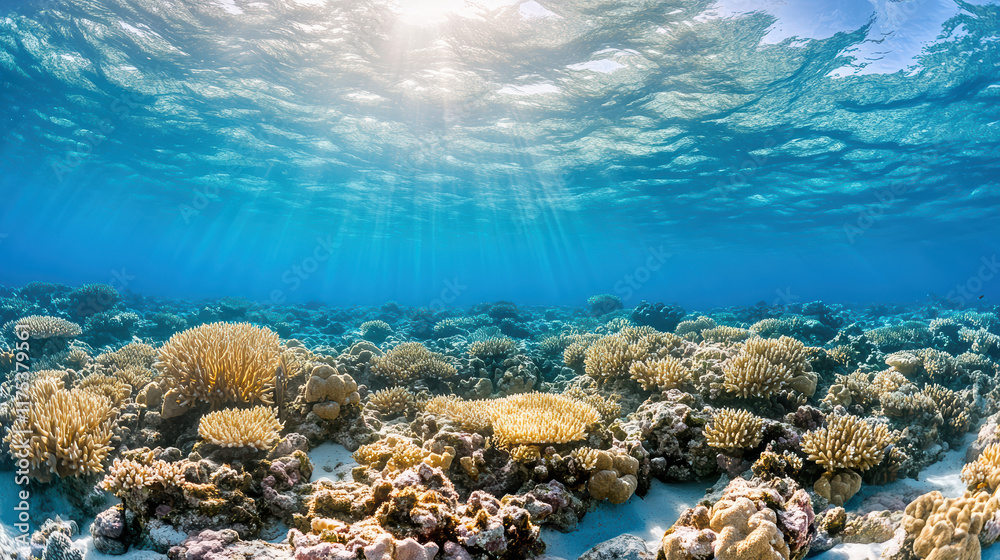 Fototapeta premium Vibrant coral reef with diverse marine life and sunlight filtering through water