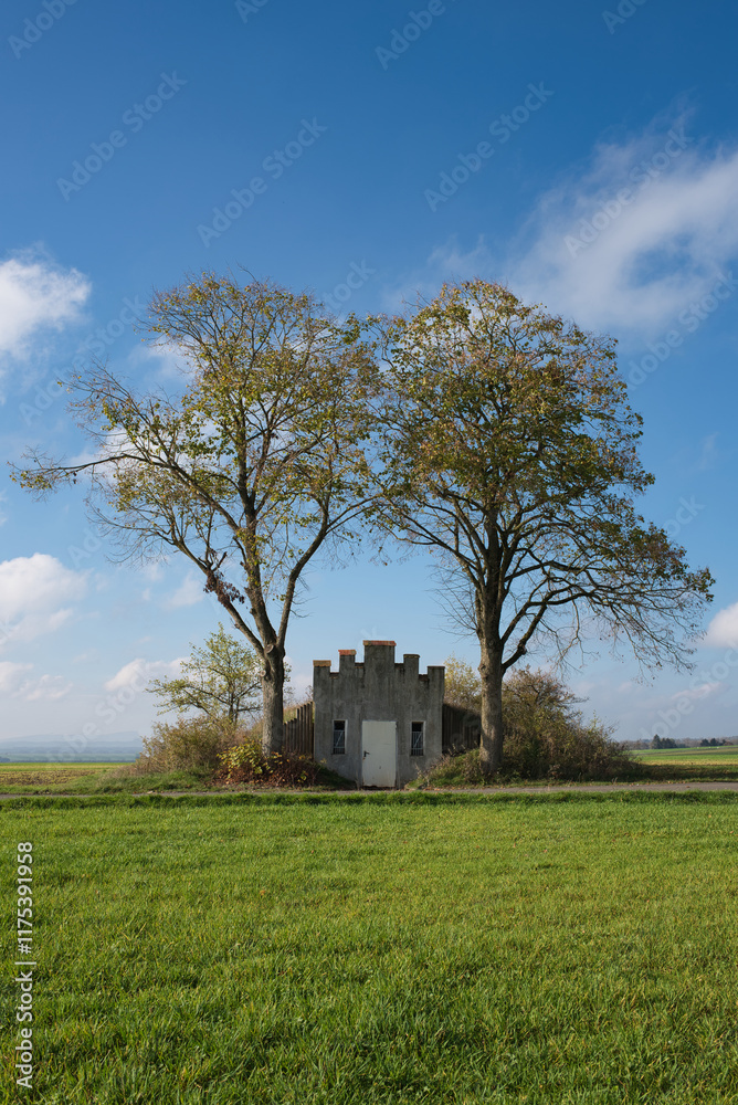 Fototapeta premium Häuschen zwischen zwei Linden Bäumen im Frühling