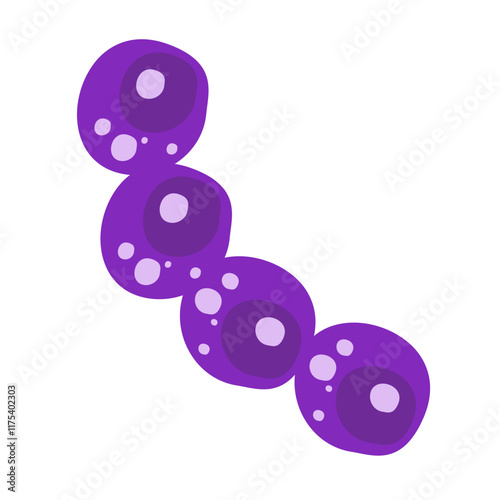 Common bacteria infecting human medical educational