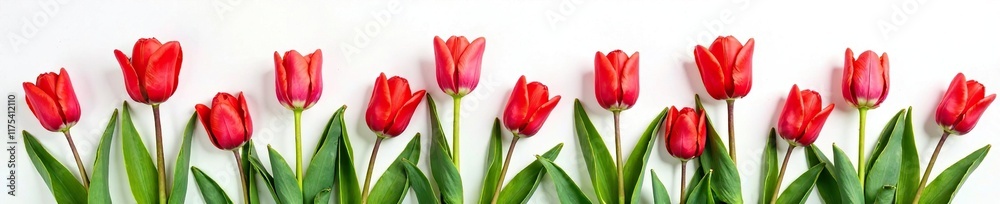 Red tulips and green foliage isolated on white background abstract floral bouquet, floral, bouquet, white Red tulips and green foliage isolated on white background abstract floral bouquet, floral, bouquet, white