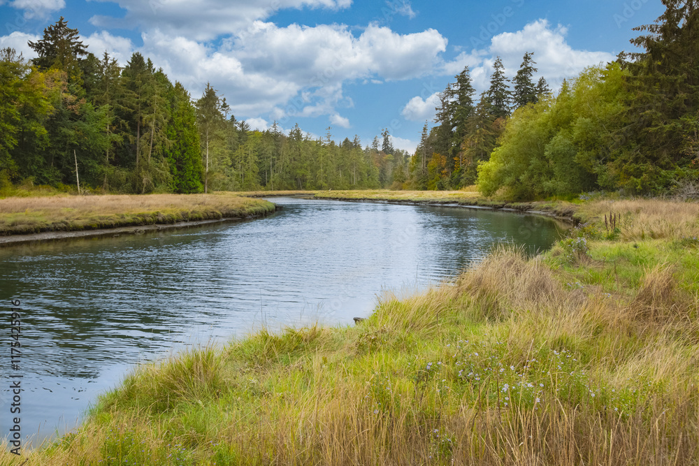 Beautiful summer landscape of a meadow near river and forest. Scenic rural landscape. Autumn in British Columbia. Beautiful summer landscape of a meadow near river and forest. Scenic rural landscape. Autumn in British Columbia.