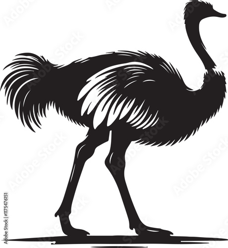 A Black and White Ostrich Walking in the Desert , ostrich , bird , animal , desert photo