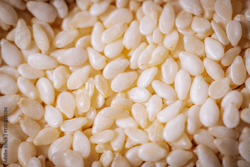 A macro shot of white sesame seeds showcasing their smooth texture and oval shape, commonly used in cooking and baking. A macro shot of white sesame seeds showcasing their smooth texture and oval shape, commonly used in cooking and baking.