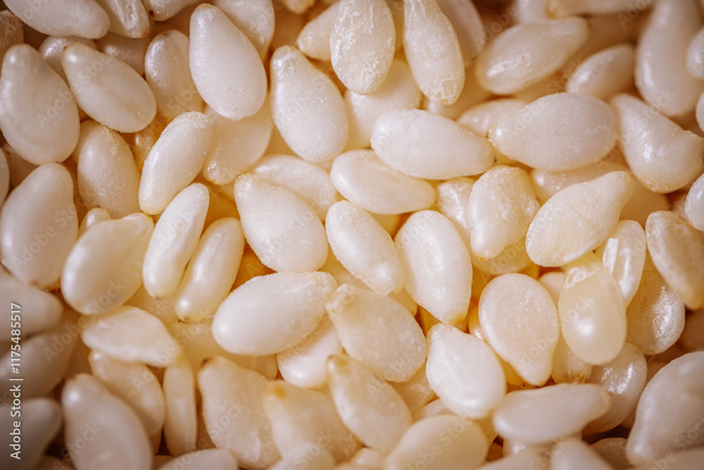 A macro shot of white sesame seeds showcasing their smooth texture and oval shape, commonly used in cooking and baking. A macro shot of white sesame seeds showcasing their smooth texture and oval shape, commonly used in cooking and baking.