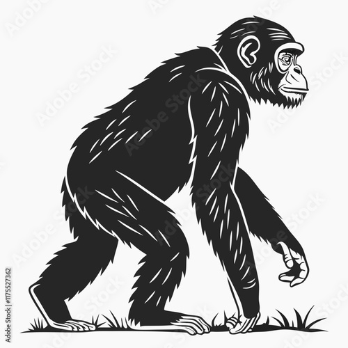 Chimpanzee vector silhouette black design white background photo